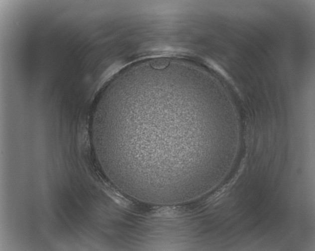 X0000068271259200604281542