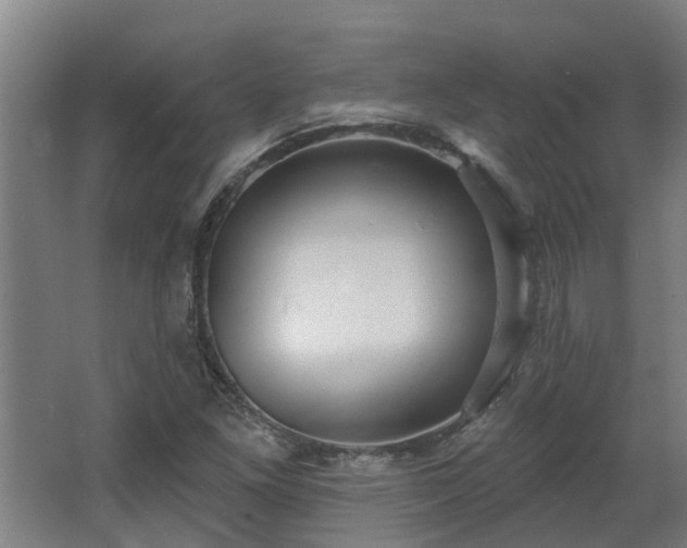 X0000068271261200604281542