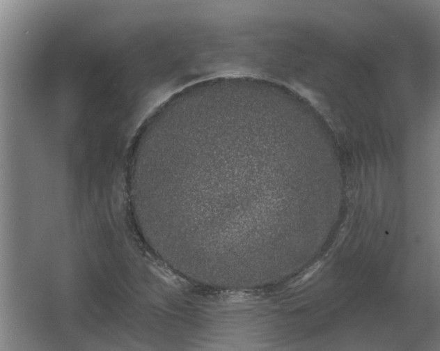 X0000068271263200604281542