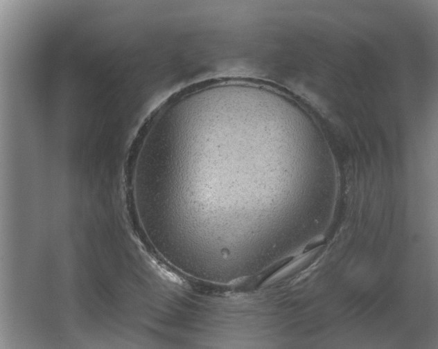 X0000068271264200604281542