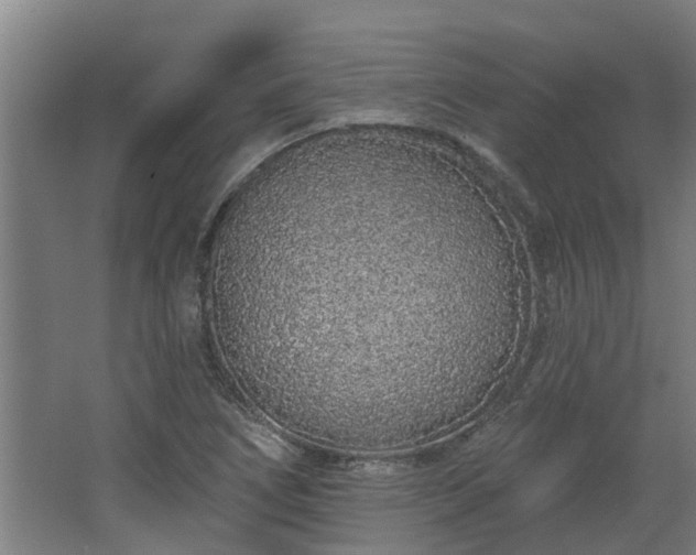 X0000068271266200604281542