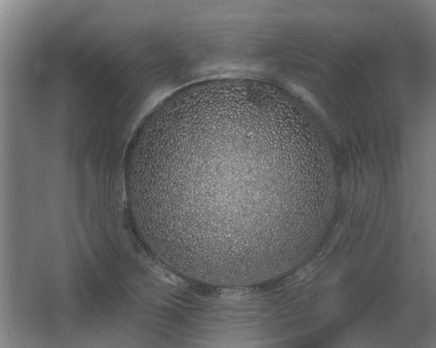 X0000068271267200604281542