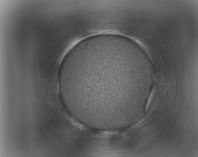 X0000068271271200604281542