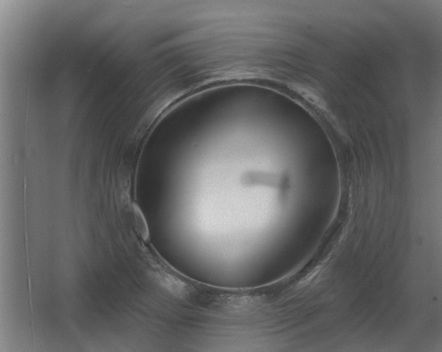 X0000068271273200604281542