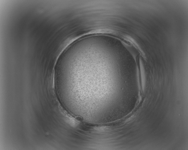 X0000068271276200604281542