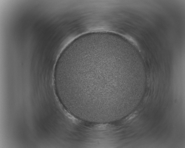 X0000068271279200604281542