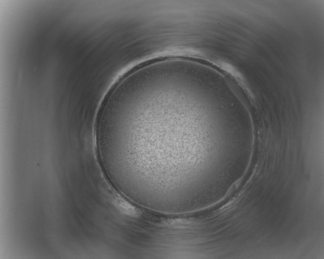 X0000068271280200604281542