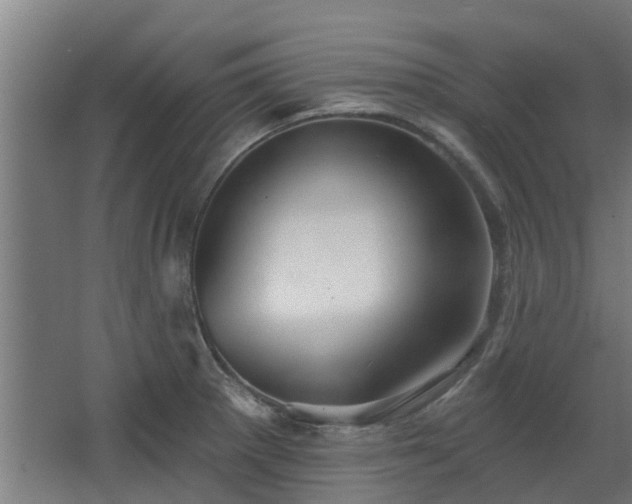 X0000068271281200604281542