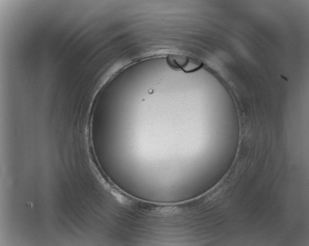 X0000068271282200604281542