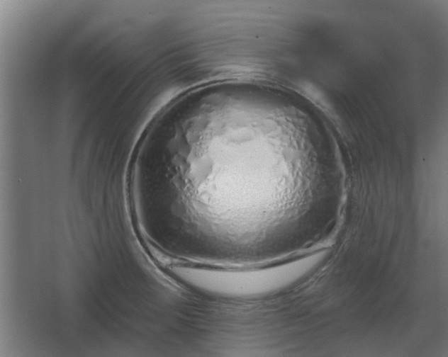 X0000068271283200604281542