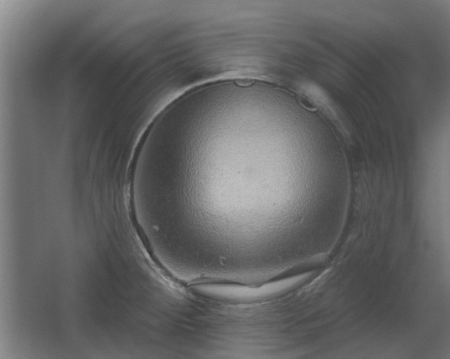 X0000068271284200604281542