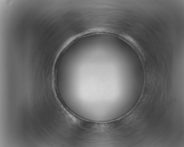 X0000068271286200604281542