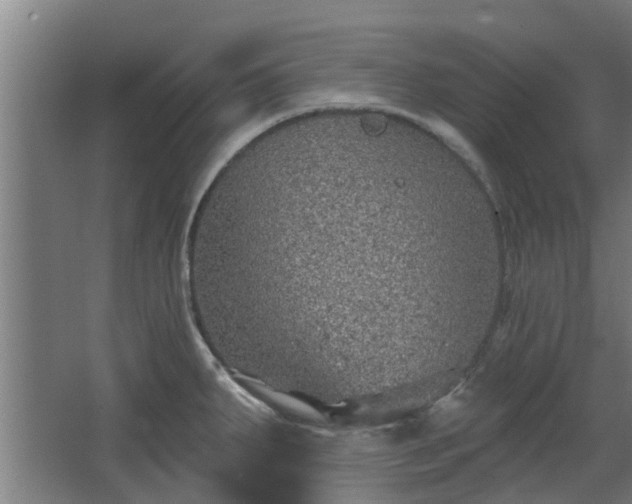 X0000068271287200604281542