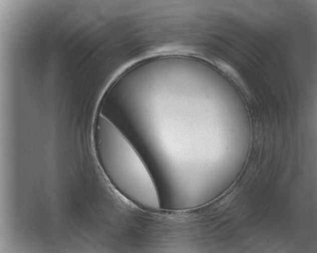 X0000068271288200604281542