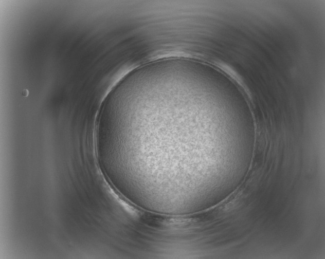 X0000068271290200604281542