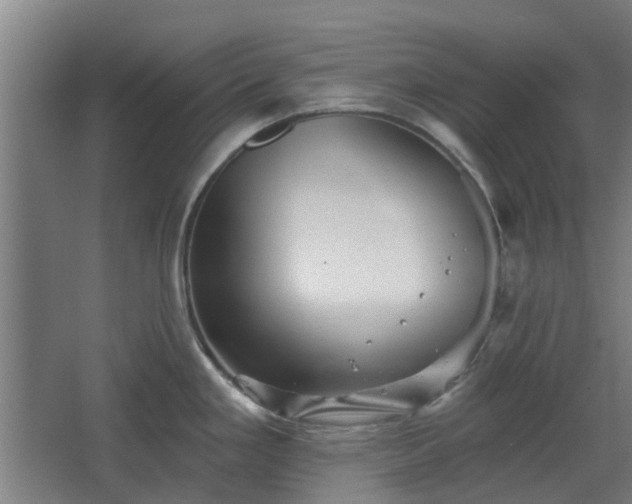 X0000068271293200604281542