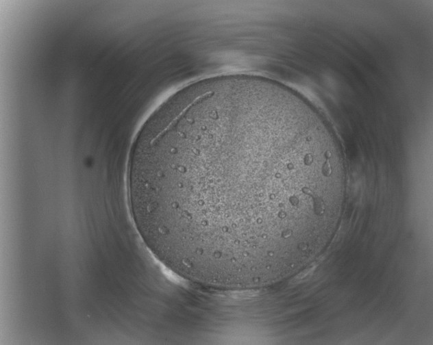 X0000068271294200604281542