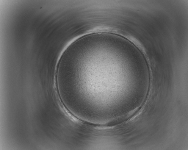 X0000068271296200604281542