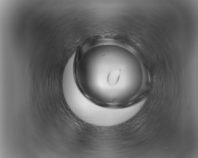 X0000068271298200604281541