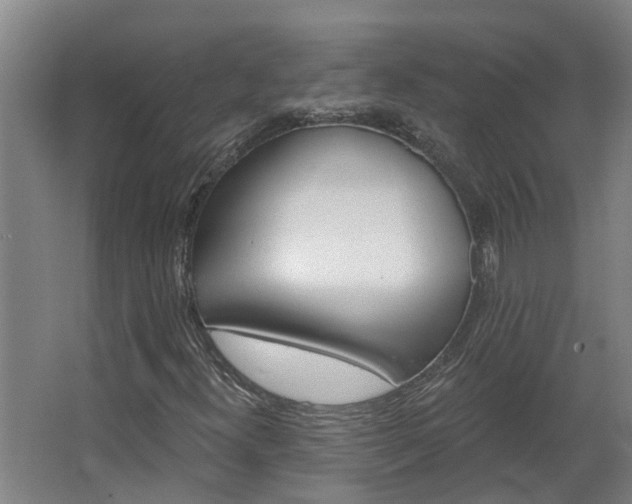 X0000068271300200604281541