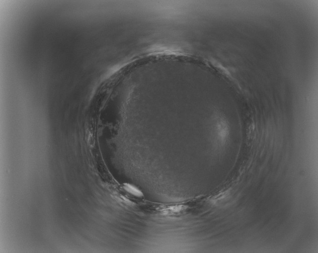 X0000068271303200604281541