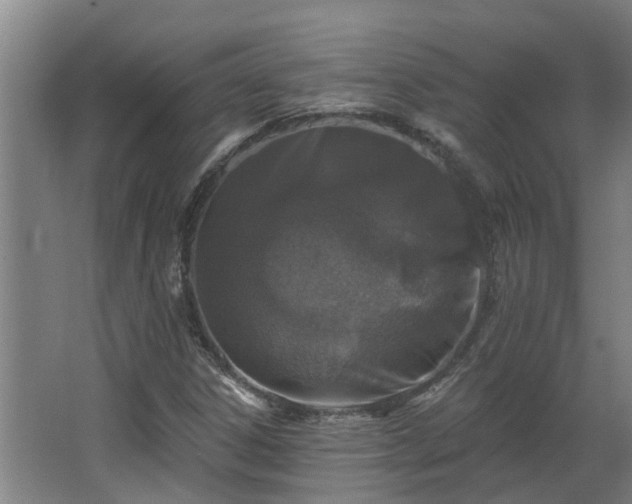 X0000068271306200604281541