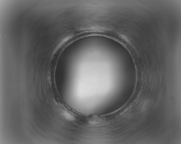 X0000068271307200604281541