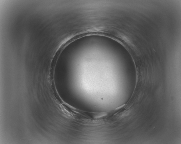 X0000068271308200604281541