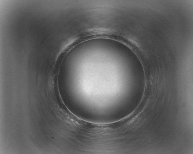 X0000068271309200604281541