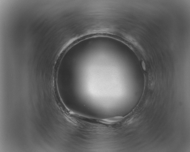 X0000068271316200604281541