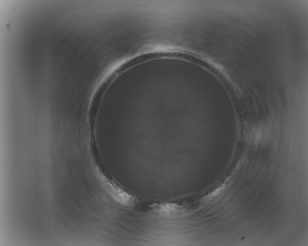 X0000068271319200604281541