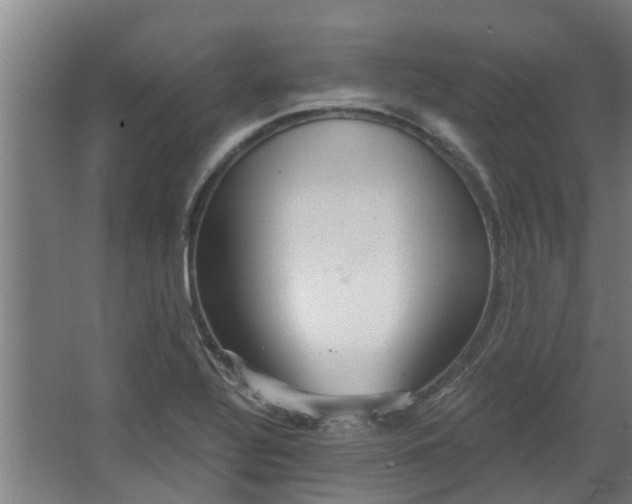 X0000068271320200604281541