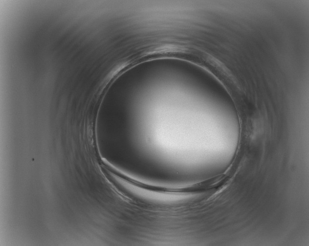 X0000068271321200604281541