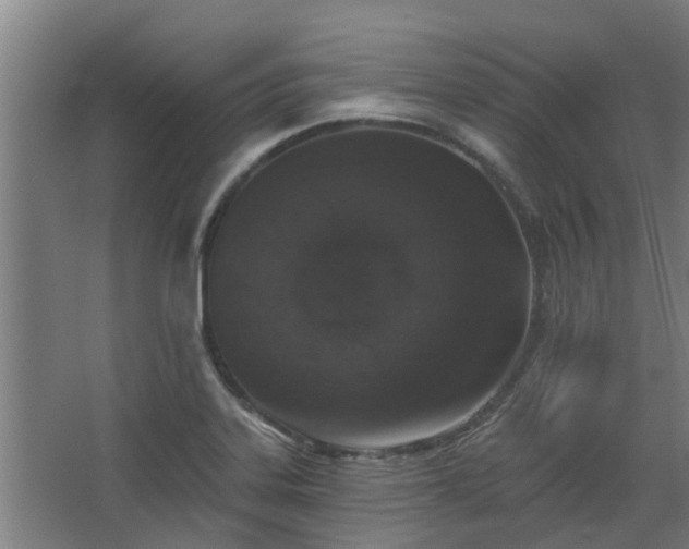 X0000068271323200604281541