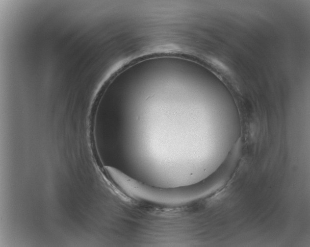 X0000068271326200604281541