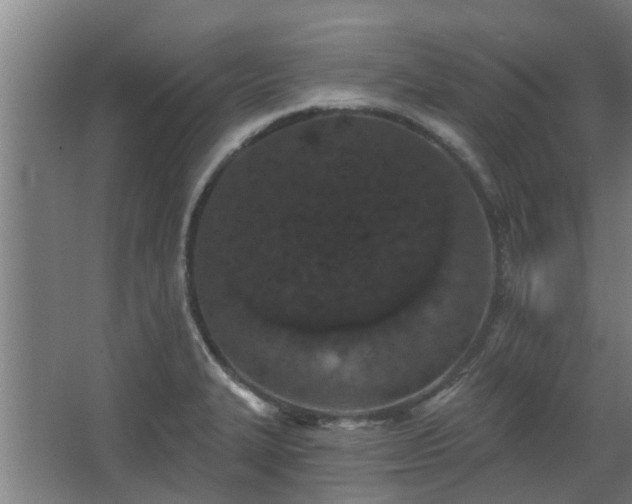 X0000068271327200604281541