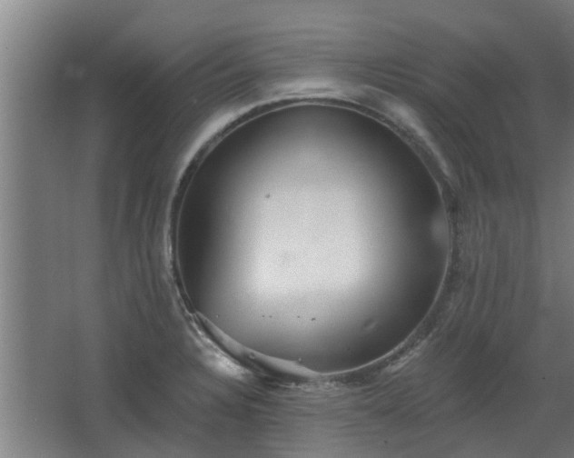 X0000068271328200604281541