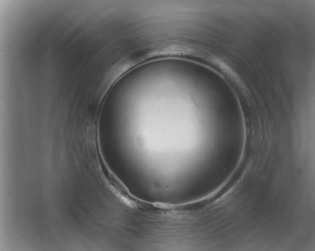 X0000068271329200604281541