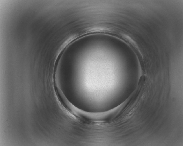 X0000068271330200604281541