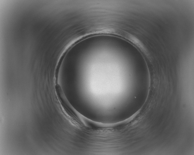 X0000068271332200604281541