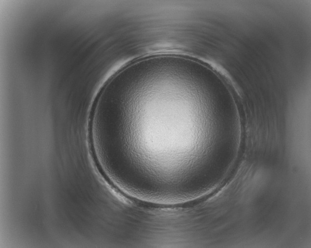 X0000068271333200604281541