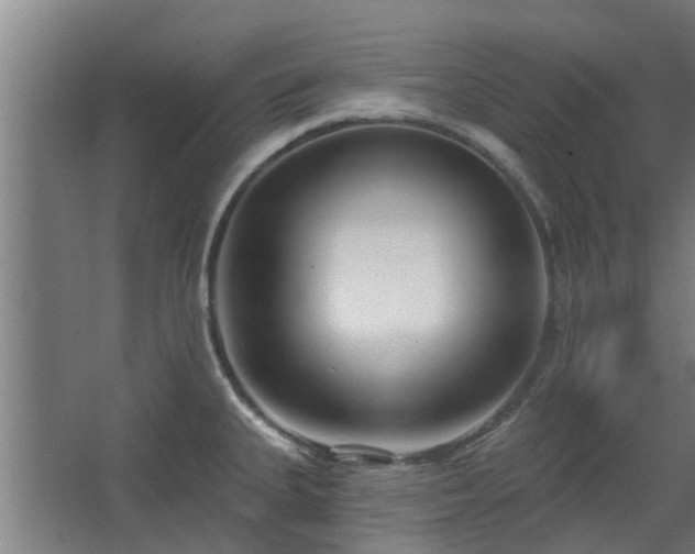 X0000068271335200604281541