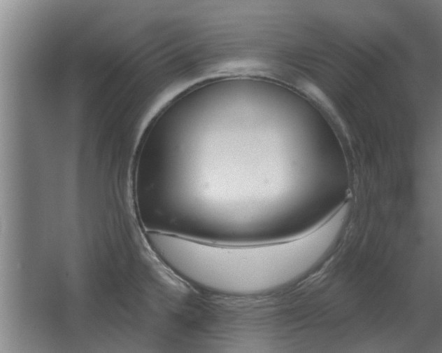 X0000068271336200604281541