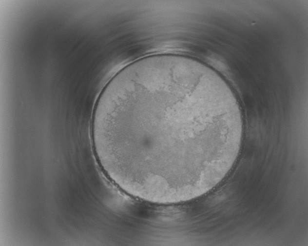 X0000068271338200604281542