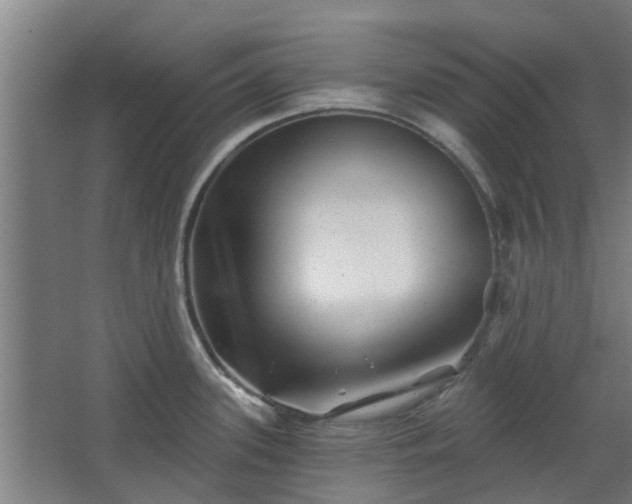 X0000068271339200604281542