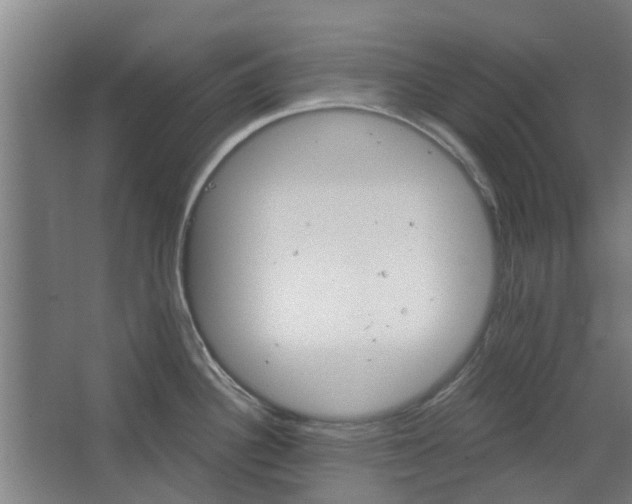 X0000068271340200604281542