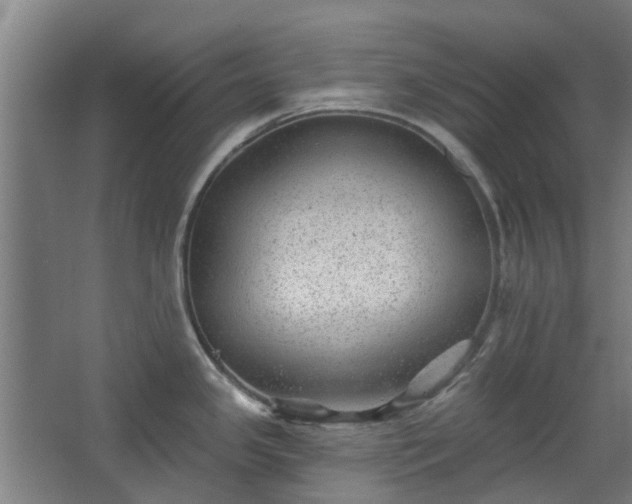 X0000068271341200604281542