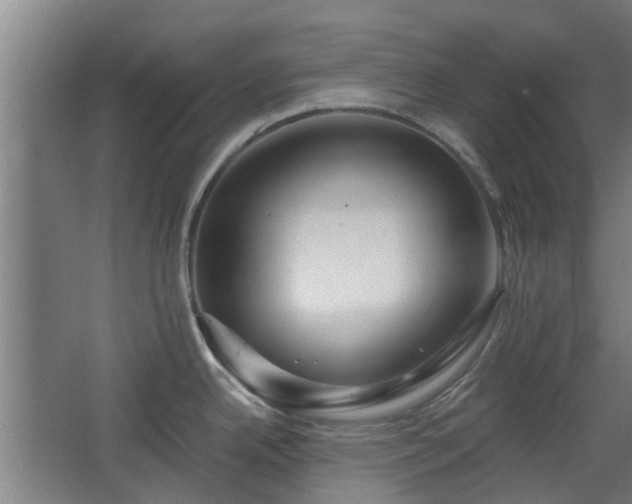 X0000068271342200604281542