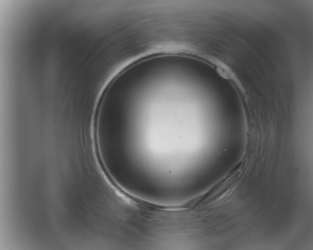 X0000068271343200604281542