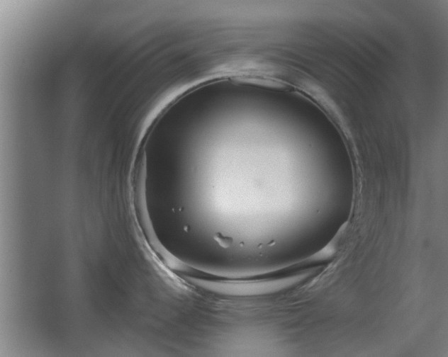 X0000068271344200604281542